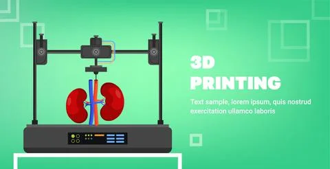 Kidneys model prints on 3d bio printer medical printing of human transplantation 스톡 일러스트