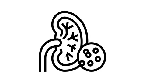 Kidneys problem line icon animation Video stock 163721898