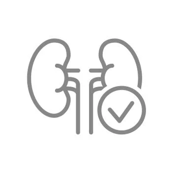 Kidneys with tick checkmark line icon. Healthy internal organ symbol Stock Illustration