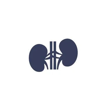 Kidneys vector icon Stock Illustration