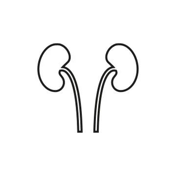 Kidneys vector icon simple element illustration can be use for mobile and web Stock Illustration
