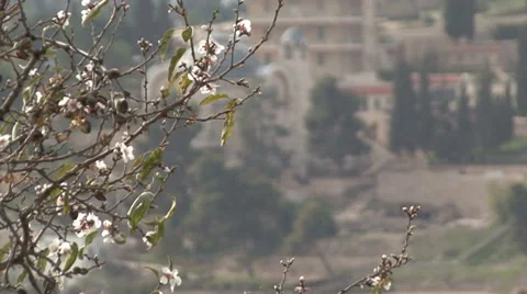 Kidron Valley. Jerusalem. Stock Footage 51565145