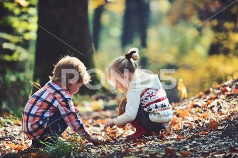 Kids activity and active rest. Children pick acorns from oak trees. Brother and Stock Photos