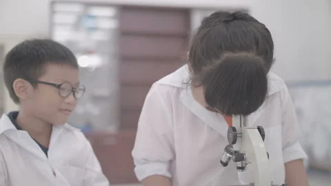 Kids are learning science at laboratory Stock Footage 134225810