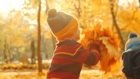 Kids are playing with fallen leaves in the autumn park Vídeo Stock 96761053