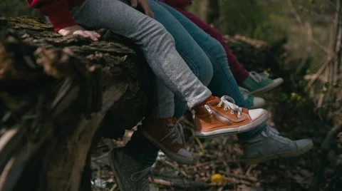 Kids are sitting on the tree Stock Footage 62757872