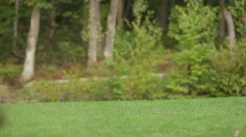 Kids chasing 스톡 동영상 12623904