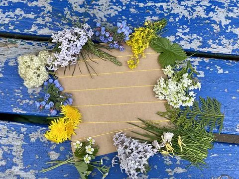 Kids craft process, how to make panels of flowers and plants, Stock Photos