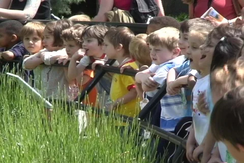 Kids cry  動画素材 335783