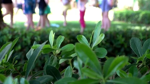 Kids doing gymnastics Stock Footage 78492445