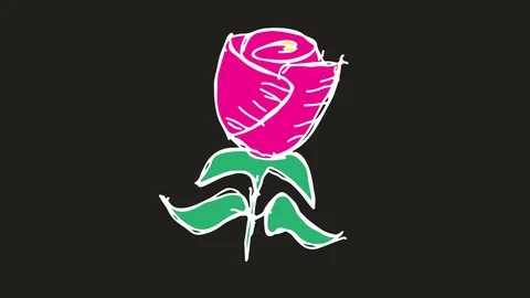 Kids drawing black screen with theme of  rose Stock Footage 100839548