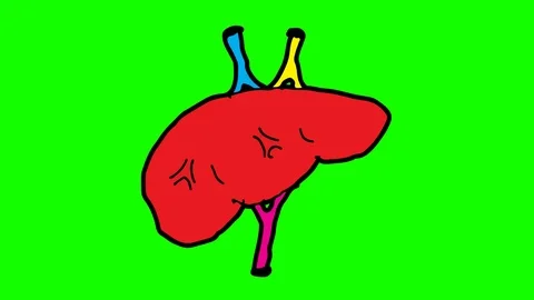 Kids drawing green screen with theme of liver Stock Footage 103954940