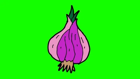 Kids drawing green screen with theme of Red onion Vídeo Stock 105062531