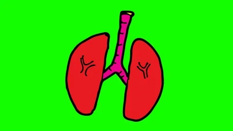 Kids drawing green screen with theme of lung Видео 105445414