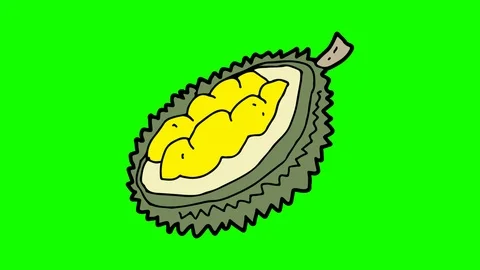 Kids drawing green screen with theme of durian Stock Footage 106531543