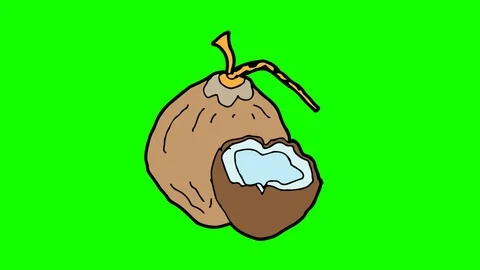 Kids drawing green screen with theme of coconut Video stock 107424371