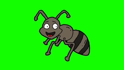 Kids drawing green screen with theme of ant Stock Footage 112819565