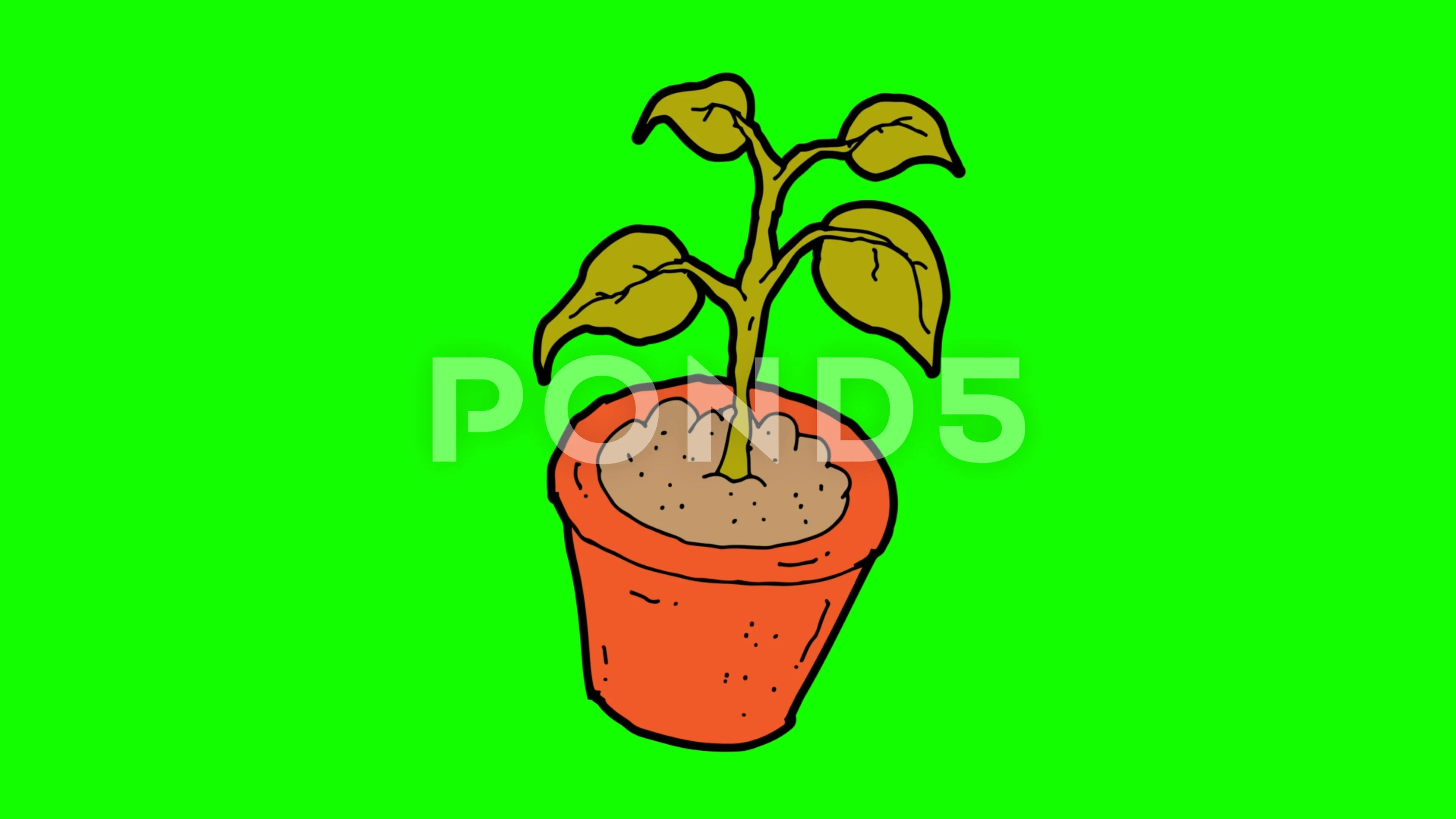 Hybrid plant drawing — Google Arts & Culture