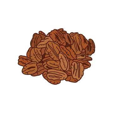 Kids drawing vector Illustration pecans in a cartoon style Isolated on Whit.. Stock Illustration
