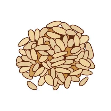 Kids drawing vector Illustration pine nuts in a cartoon style Isolated on W.. Stock Illustration