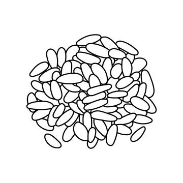 Kids drawing vector Illustration pine nuts in a cartoon style Isolated on W.. Stock Illustration