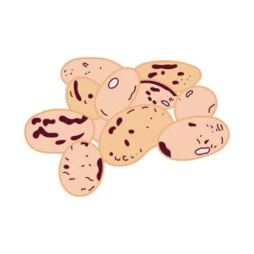 Kids drawing vector Illustration pinto beans in a cartoon style Isolated on.. Stock Illustration