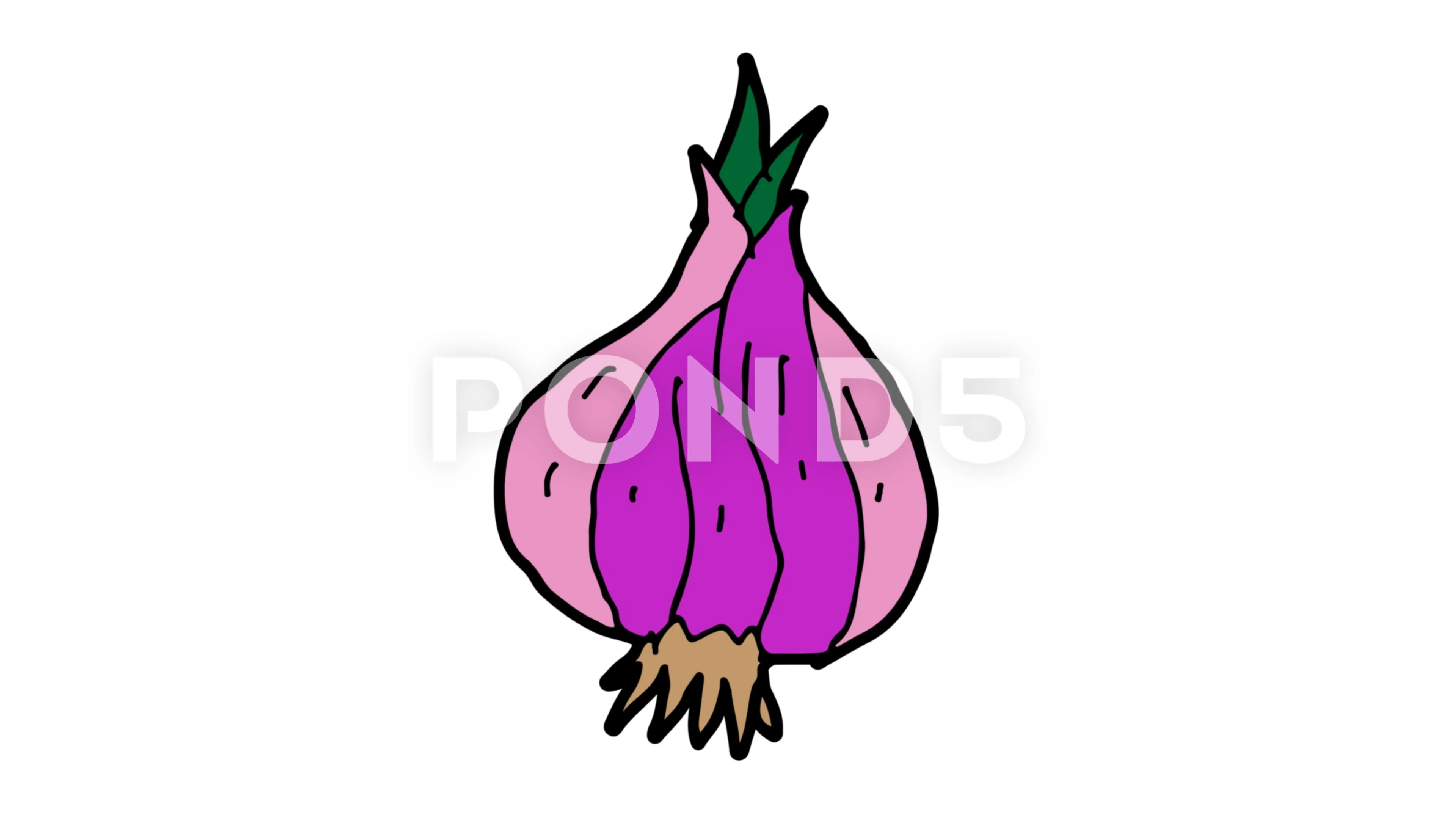 How to Draw a Onion? | Step by Step Onion Drawing for Kids