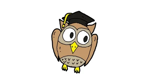 Kids drawing white screen with theme of owl and undergraduate hat Stock Footage 111858754