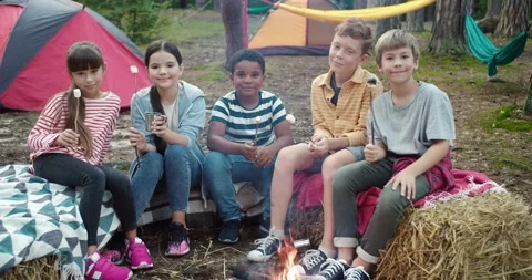 Kids enjoying on camping while sitting around campfire and baking marshmallow Stock Footage 162113102