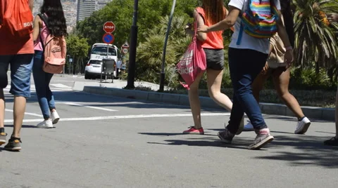 Kids On Excursion Stock Footage 51313276