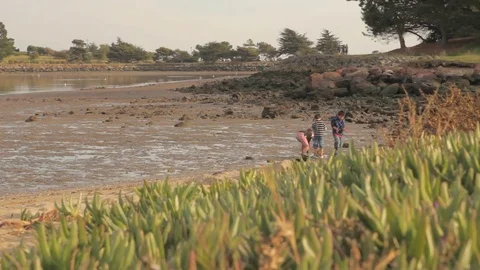 Kids exploring bay at low tide Stock Footage 71125022