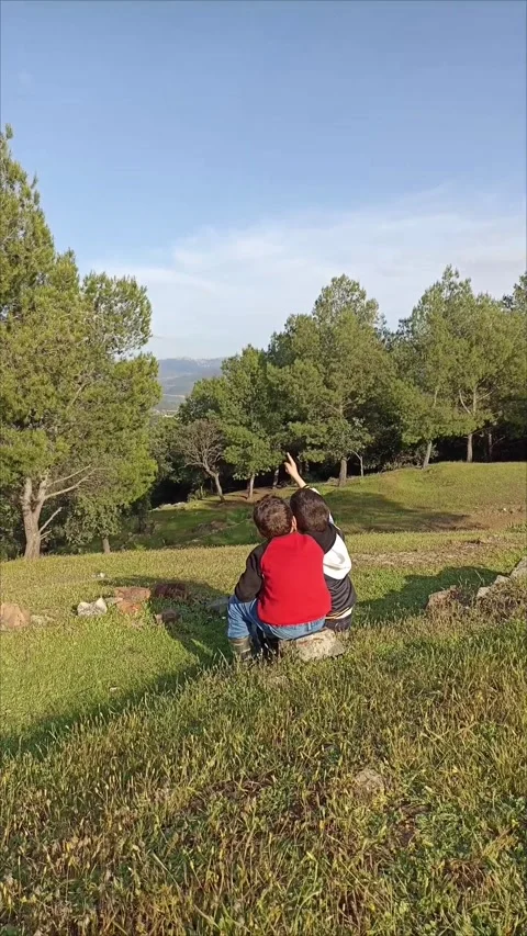 Kids Exploring Nature and Forest Landscape at Sunset. Stock Footage 333531039