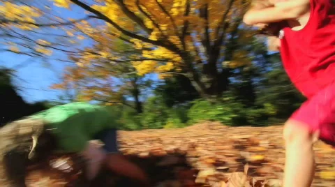 Kids in Fall Leaves 2 Stock Footage 595969
