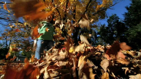 Kids in Fall Leaves Stock Footage 591488