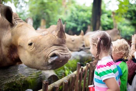 Kids feed rhino in zoo. Family at animal park. Stock Photos