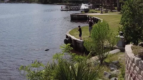 Kid's first catch Vídeo Stock 240846870