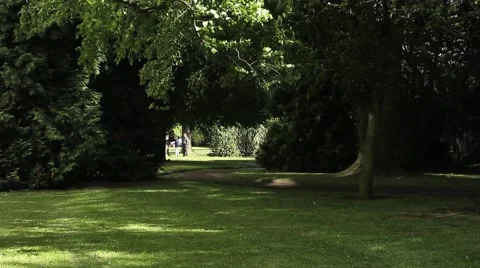 Kids in the forest Stock Footage 45433341