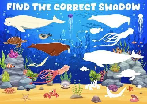 Kids game to find correct shadow of sea animals Stock Illustration