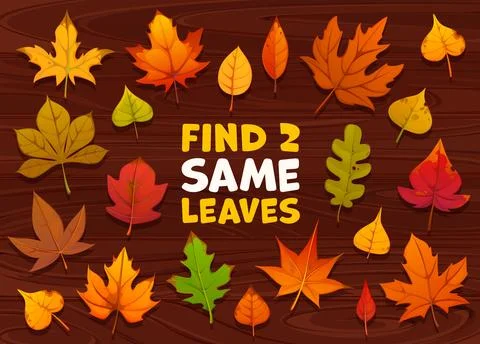 Kids game, find two same bright autumn leaves Stock Illustration