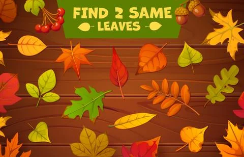 Kids game worksheet, find two same autumn leaves Ilustração Stock
