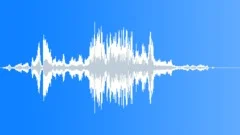 Kids group laughingSound Effect