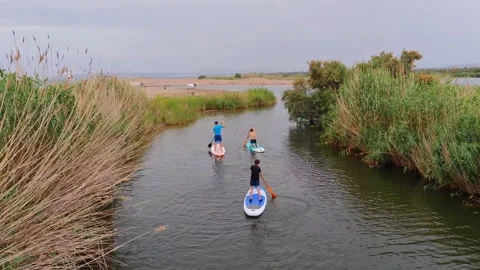 Kids have fun paddle boarding on a river that leads to the coast Stock Footage 201312624