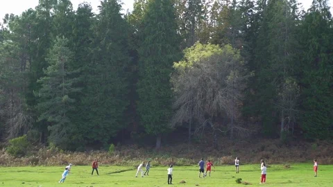 Kids having fun on the middle of wild Nature Stock Footage 88791334