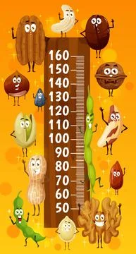 Kids height chart, funny nuts and seeds characters Stock Illustration