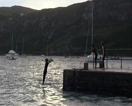 Kids Jumping from Pier Video stock 493069