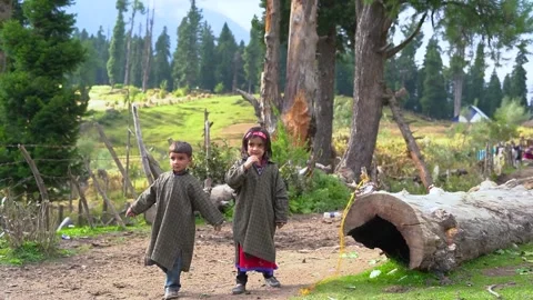 KIDS KASHMIR Video stock 236530300