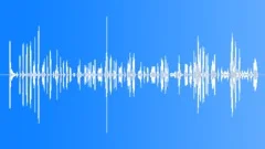 Kids laughing 21 Sound Effect