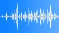 Kids laughing 22 Sound Effect