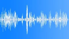 Kids laughing 23 Sound Effect