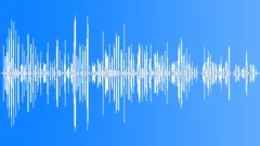 Kids laughing 24 Sound Effect